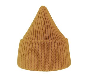 ATLANTIS AT214 - Eco-Friendly Polylana® Warm Knit Beanie