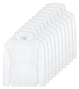 Arctic White